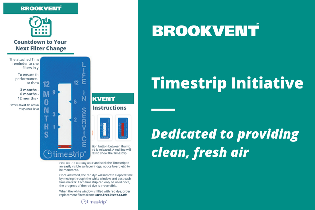 Timestrip Initiative|Timestrip and instructions|Timestrip Initiative