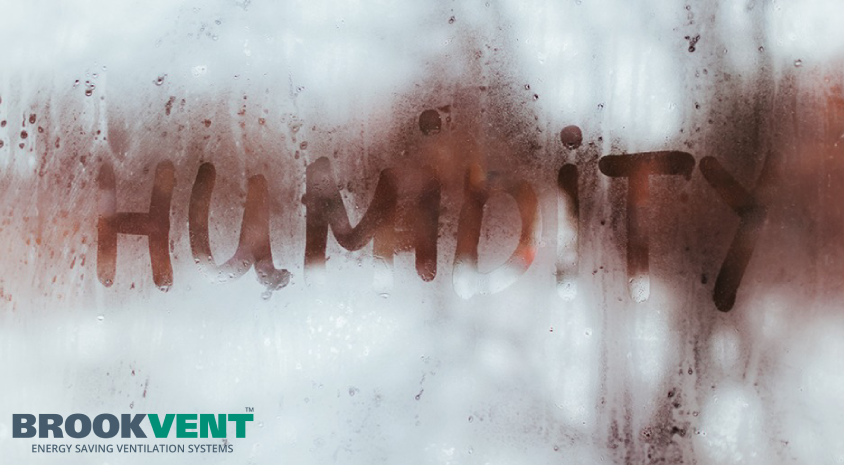 The Importance of Humidity Control: Creating Comfort in Your Living Spaces