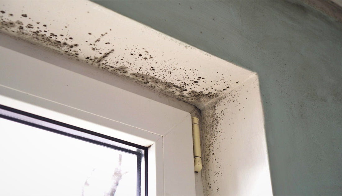 Picture of Mould|40% off intermittent extract ventilation