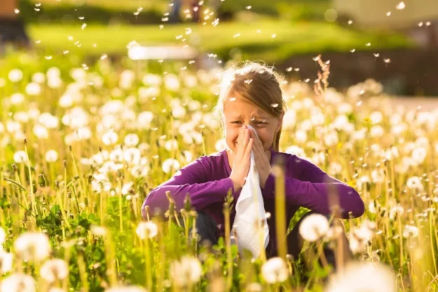 Combatting Hay Fever: Solutions for a Pollen-Free Home